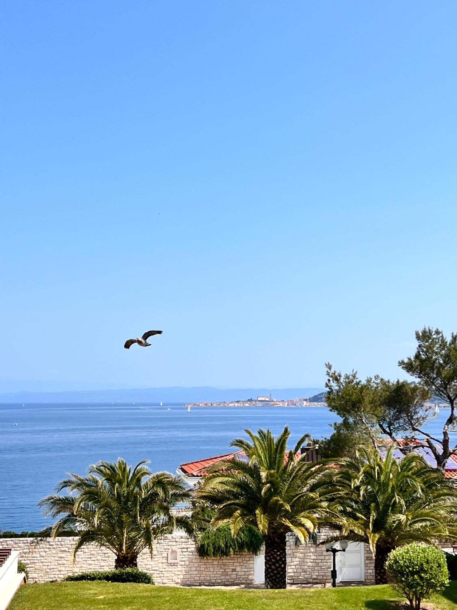 Apartment Tamara By Partner Tourist Agency Savudrija Dış mekan fotoğraf