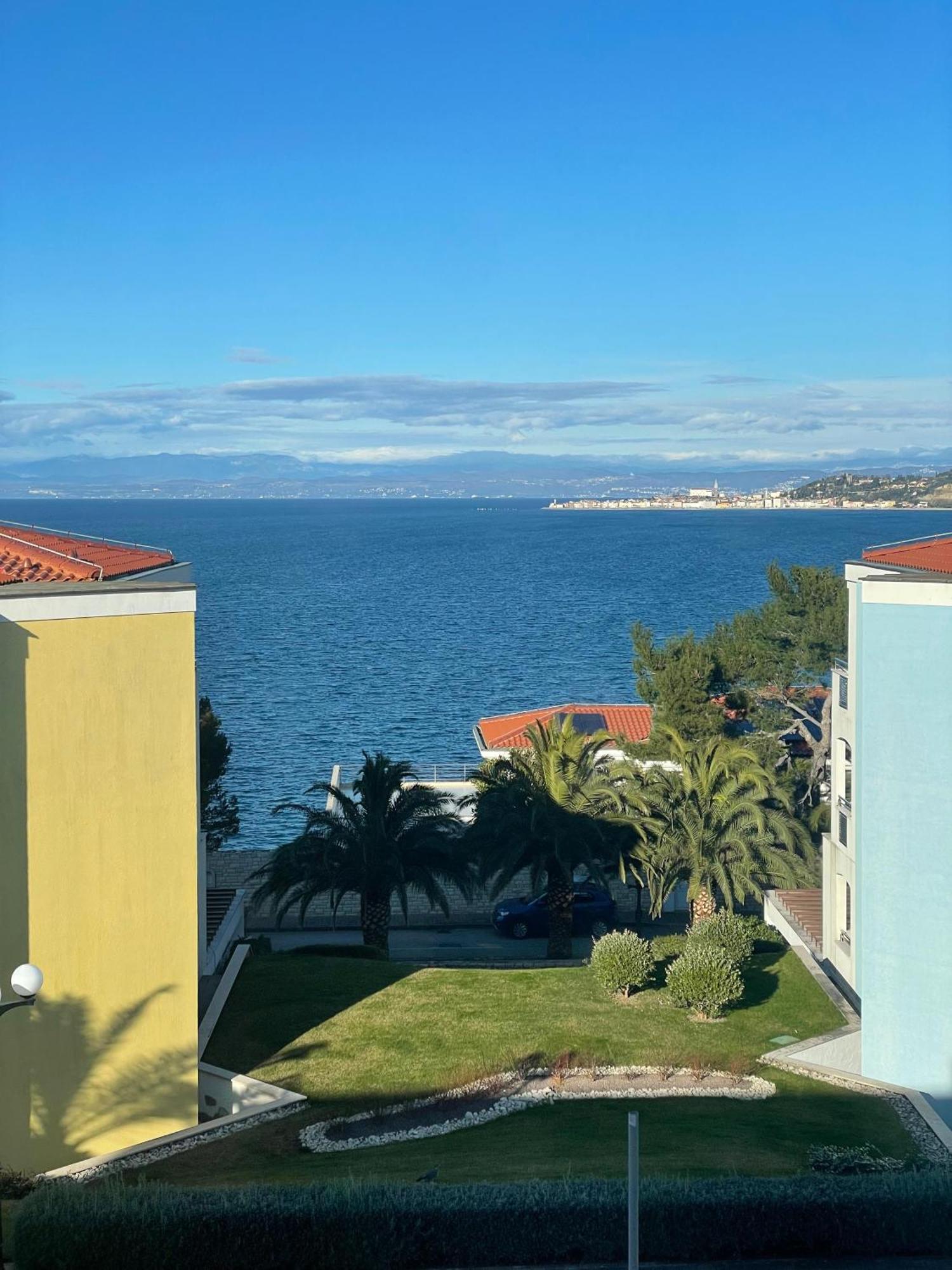 Apartment Tamara By Partner Tourist Agency Savudrija Dış mekan fotoğraf