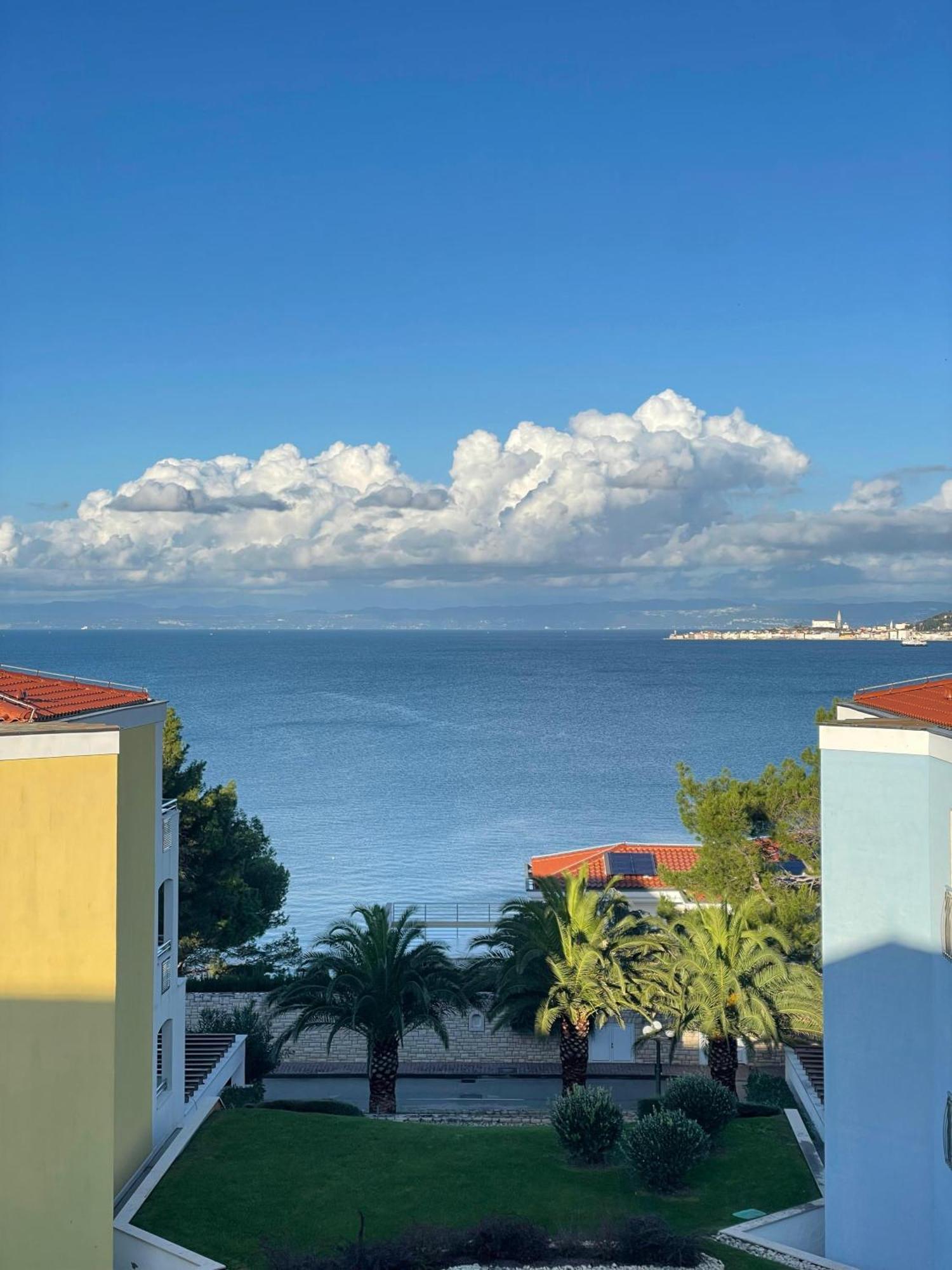Apartment Tamara By Partner Tourist Agency Savudrija Dış mekan fotoğraf