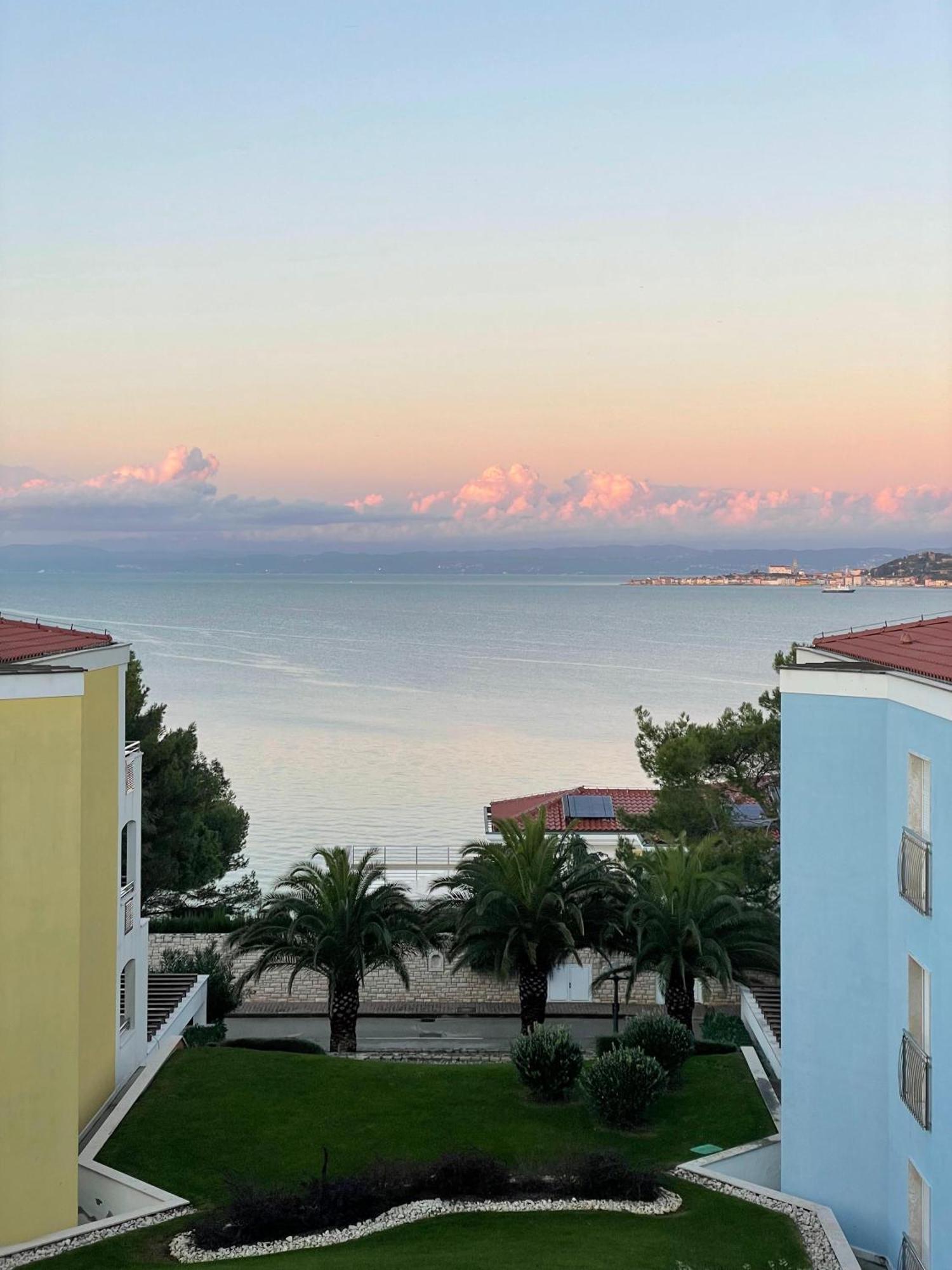 Apartment Tamara By Partner Tourist Agency Savudrija Dış mekan fotoğraf